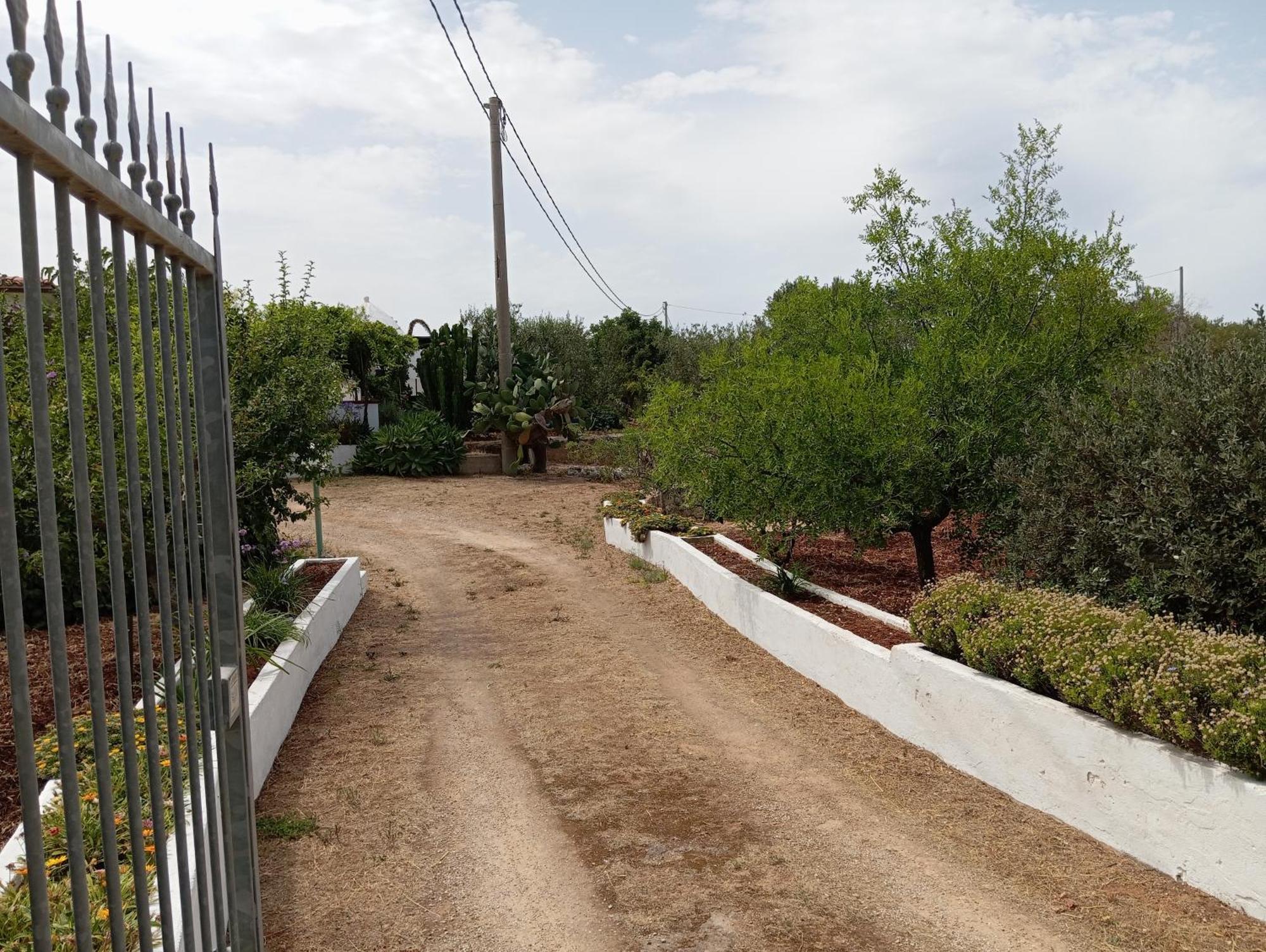 Villa Del Sole Specchiolla Kültér fotó